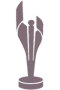 Award - CSA